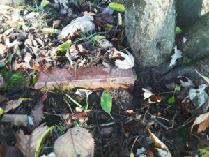 JCCCW-garden-path-brick---brightened | Seattle’s Japanese Community News – North American Post